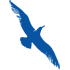 Cape Air